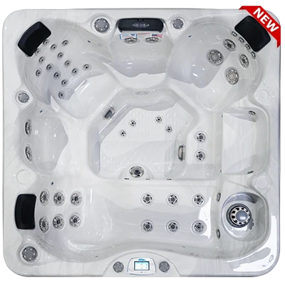 Avalon-X EC-849LX hot tubs for sale in Billerica